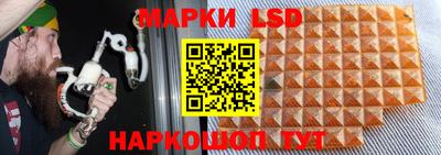 гидра Рязань