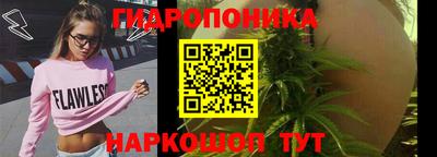 прущие грибы Рузаевка