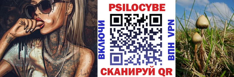 Псилоцибиновые грибы прущие грибы  ОМГ ОМГ рабочий сайт  Усть-Джегута 