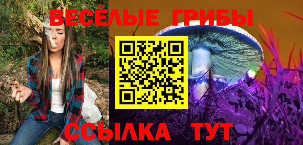 Усть-Джегута  Галлюциногенные грибы Psilocybine cubensis  Вход с VPN 